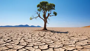 El Niño, combustível acrescido aos já severos efeitos do clima
