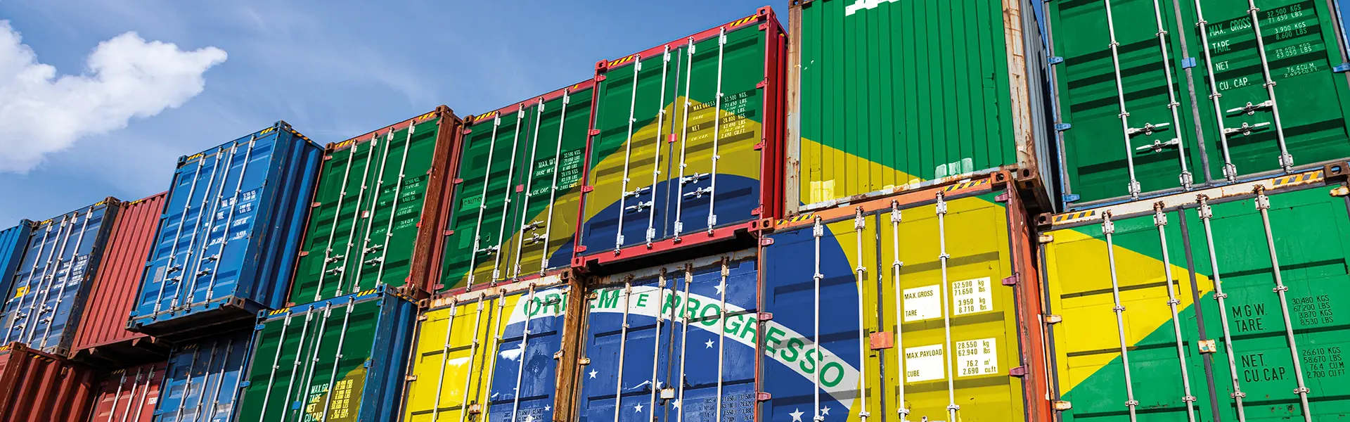 Lei da UE contra desmatamento ameaça exportações de 2024